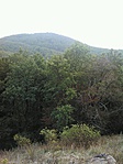 GCInoc_20150912123926.jpg