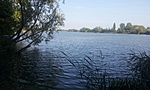 GCmape_20150913155413.jpg