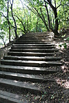 sokadik