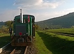 Az oroszlán erejével
