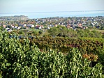 Márgából