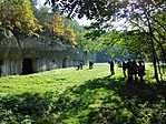 Kőhodálynál