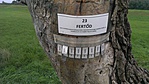 katonás virtuális cache