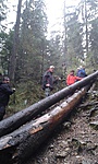 Akadálypálya