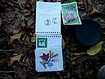 Logbook