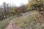ösvény 1