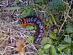 GCFEHI_2015103160102.jpg