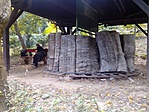 GCGESZ_2015104143809.jpg