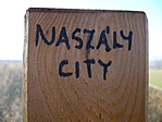 Naszály city