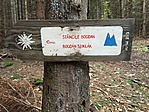 Útbaigazítás