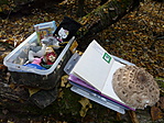 A láda és a logbook