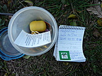 A logbook és a láda