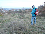Panoráma