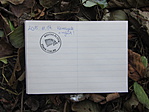 új logbook