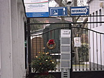 A kocsi.