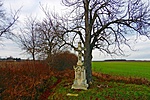 P1040331