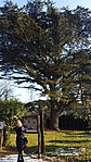 GClibc_20160122131224.jpg