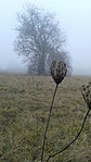 20160130_141214