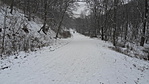 SDC10014