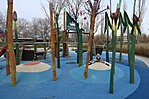 IMG_3482