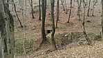 GCBAJM_20160110140800.jpg