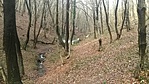 GCBAJM_20160110140815.jpg