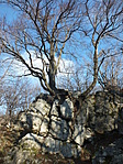 DSCF4973