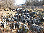 DSCF4974