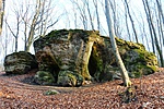 IMG_2214