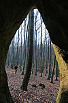 panoráma