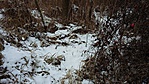 12606834_1121155681258397_1226771675_n