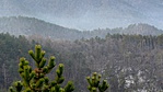 P1020089