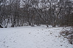DSC01059