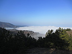IMG_9869