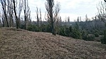 GCBoro_20160128150920.jpg