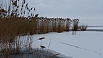 20160124_130918