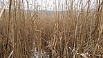 20160124_131048