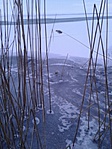 GC4718_20160124135051.jpg