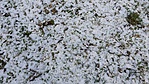 20160117_141428
