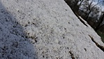 20160117_141530