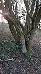 20160207_144000