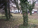 Kép 1440