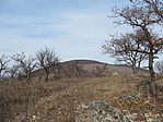 IMG_5880