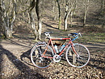 Pihi