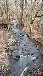 2016-02-27 10.41.14R