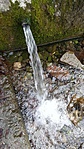 2016-02-27 10.38.59R