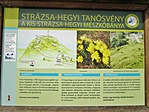 IMG_0003 (640x480)