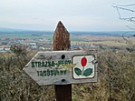 IMG_0012 (640x477)