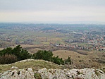 IMG_0058 (640x480)