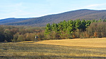 IMG_2413_resize